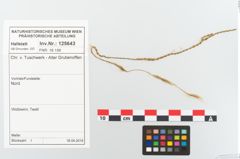 Foto von Textil (NHMW-PRAE-125643)